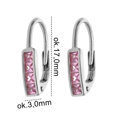 Srebrne kolczyki Ag 925 IM1731024ER_P